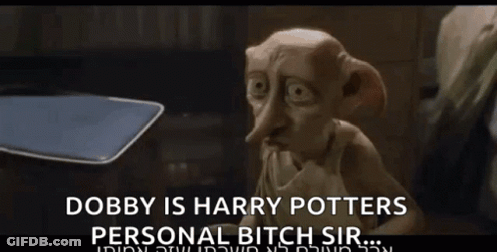 Harry Potter And Dobby Is Free On Friday GIF