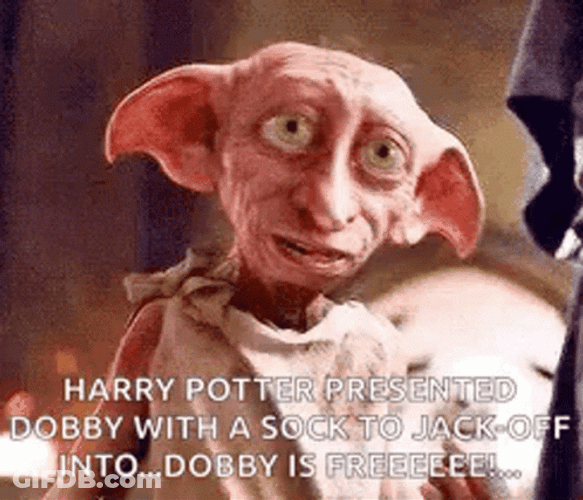Harry Potter And Dobby Is Free GIF