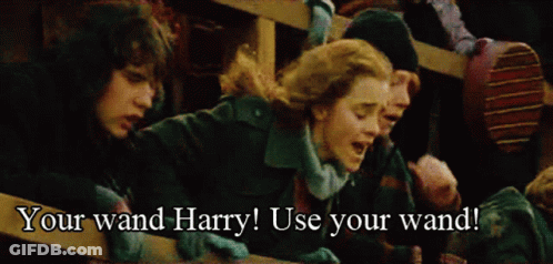 Harry Potter And Hermione Granger Use Your Wand Harry GIF