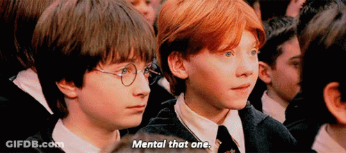 Harry Potter And Ron Weasley Sitting In Crowd Saying Mental That One GIF