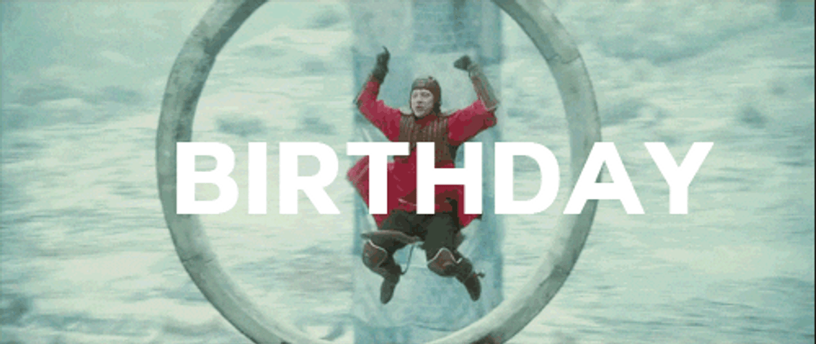 Harry Potter Birthday Ron Weasley Celebration Quidditch GIF