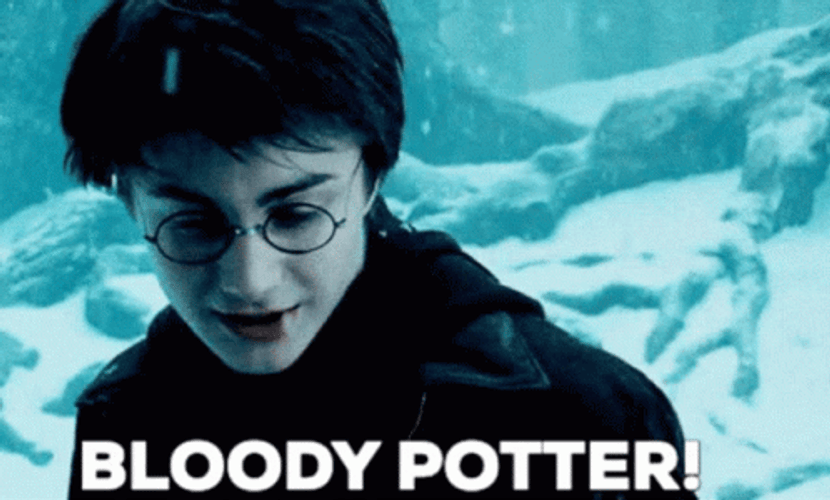 Harry Potter Bloody Potter GIF
