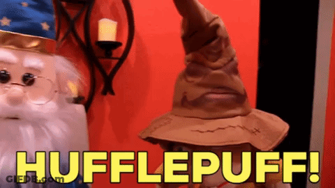 Harry Potter Costume Saying Hufflepuff In Yellow GIF