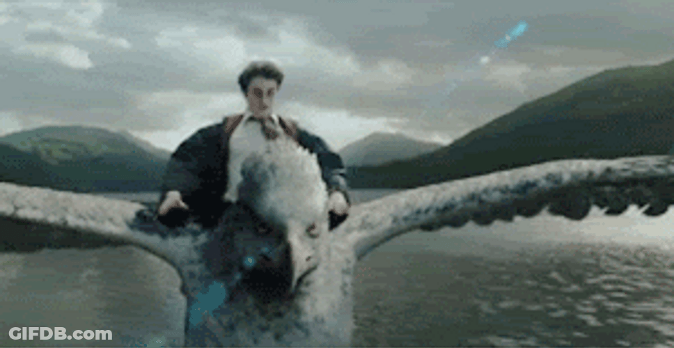 Harry Potter Excited To Fly GIF