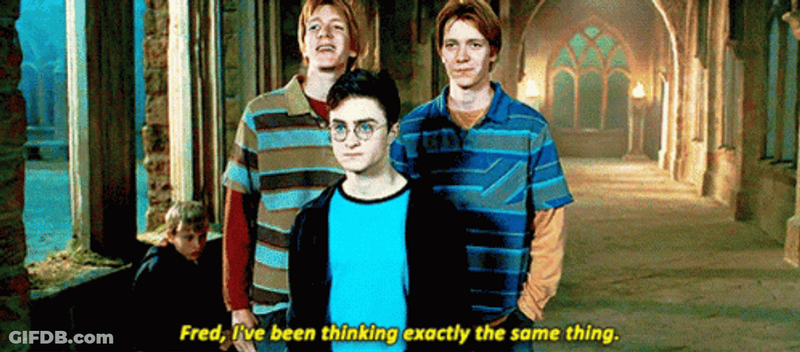 Harry Potter George And Fred Weasley GIF