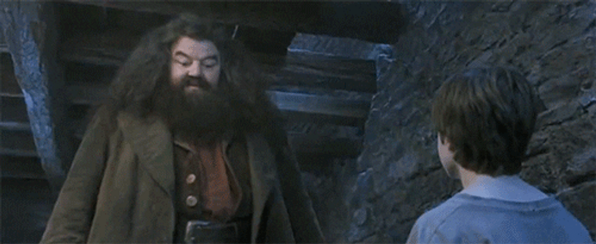 Harry Potter Gets Birthday Cake From Hagrid GIF