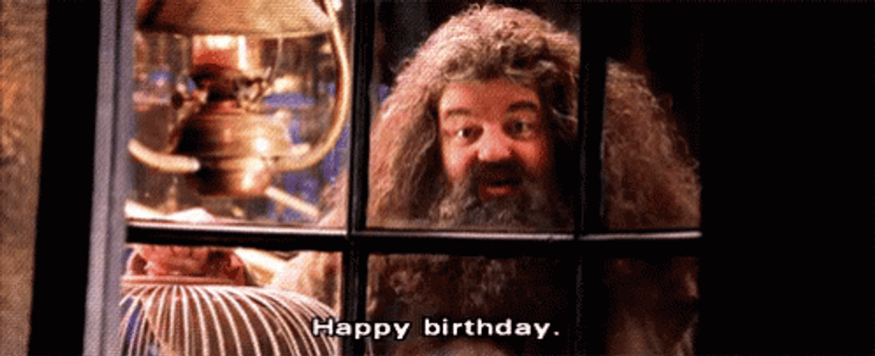 Harry Potter Happy Birthday Hagrid Gifts Hedwig Owl GIF