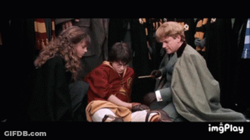 Harry Potter Helped By Group In Philosopher's Stone GIF