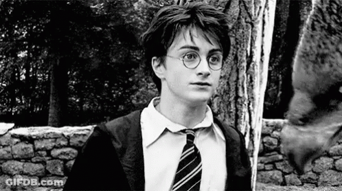 Harry Potter In Suit And Tie GIF