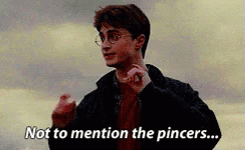 Harry Potter Mention The Pincers GIF