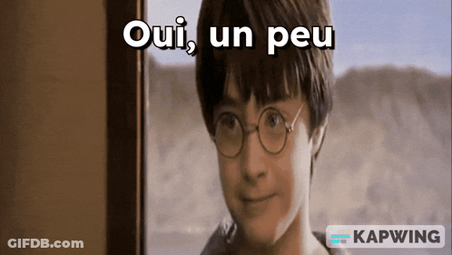 Harry Potter Oui Un Peu GIF