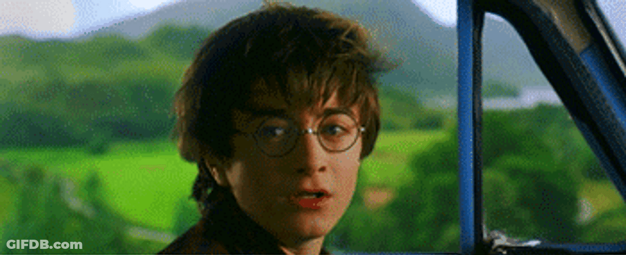 Harry Potter Ron Weasley Car GIF