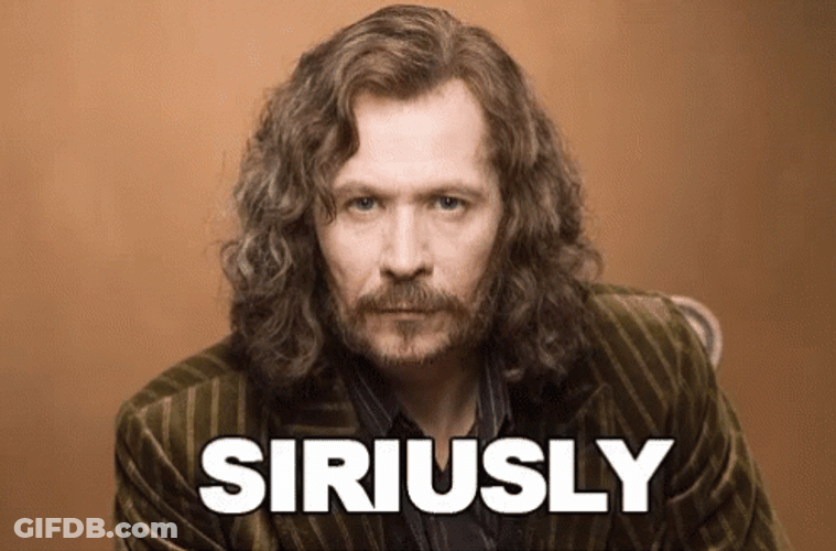 Harry Potter Sirius Black Siriusly GIF