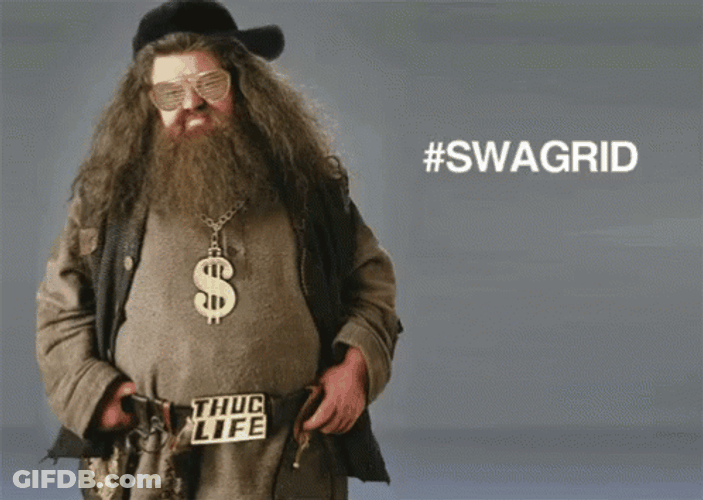 Harry Potter Swagrid Thug Life GIF