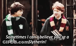 Harry Potter Talking GIF