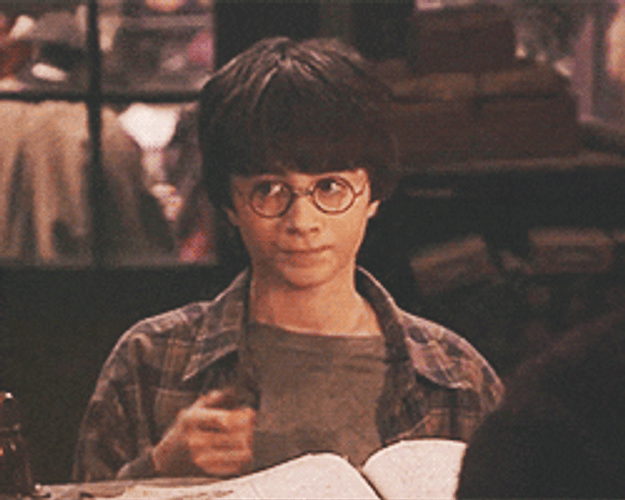 Harry Potter Wand Sorcerer's Stone GIF