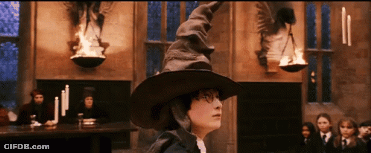 Harry Potter Wearing Sorting Hat GIF