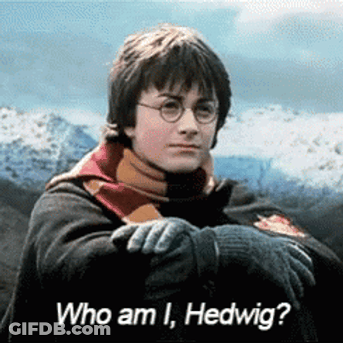 Harry Potter Who Am I Hedwig GIF