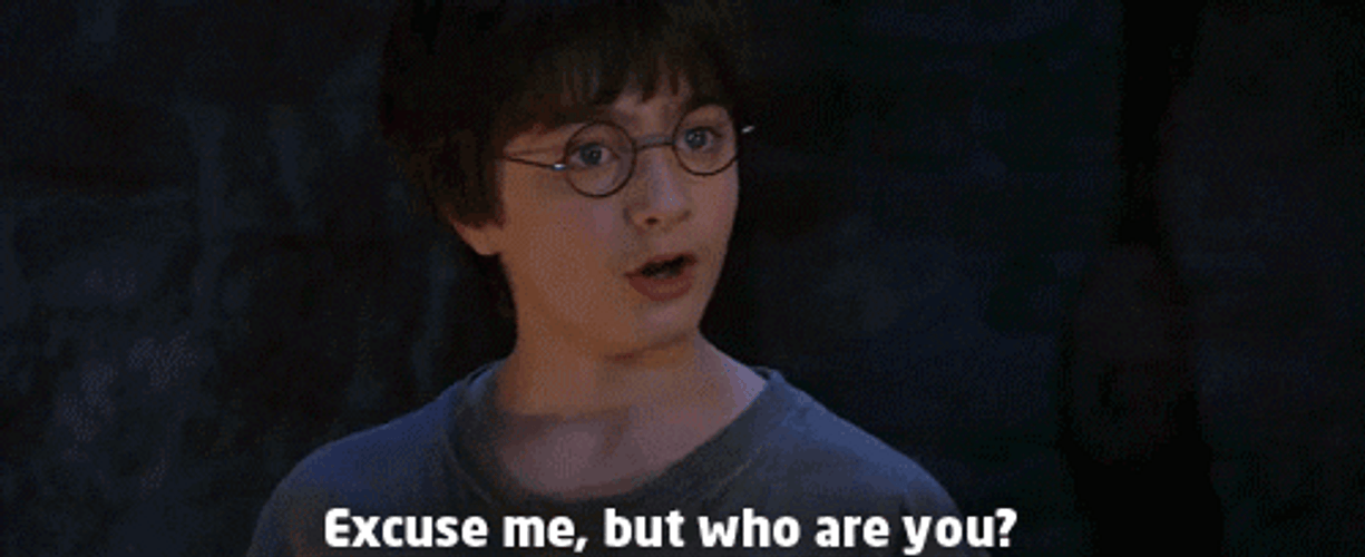 Harry Potter Who Are You GIF