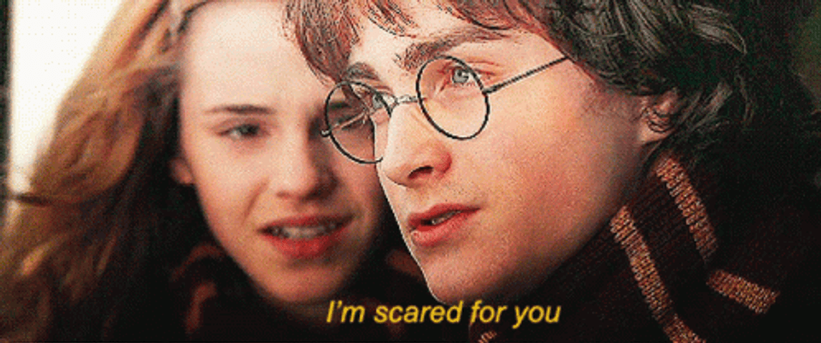 Harry Potter With Hermione Granger GIF