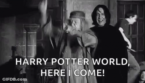 Harry Potter World Dumbledore GIF