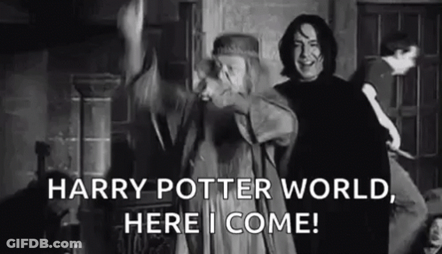 Harry Potter World Here I Come GIF