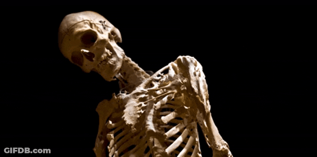 Harry's Skeleton Waiting For Years GIF