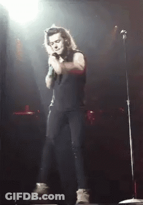 Harry Styles Concert GIF