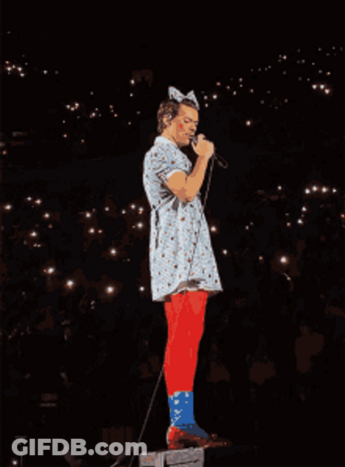 Harry Styles Concert Live On Tour GIF