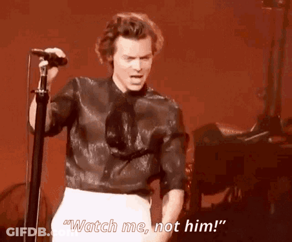 Harry Styles Concert Watch Me GIF