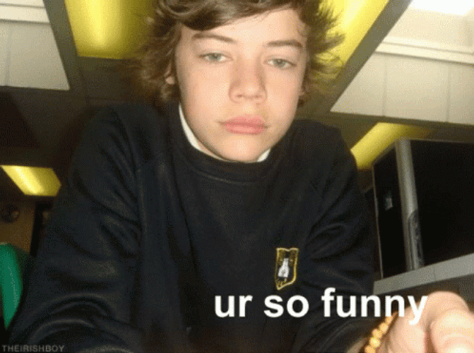 Harry Styles Meme Funny LOL GIF