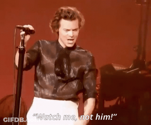 Harry Styles Narcissist Meme GIF