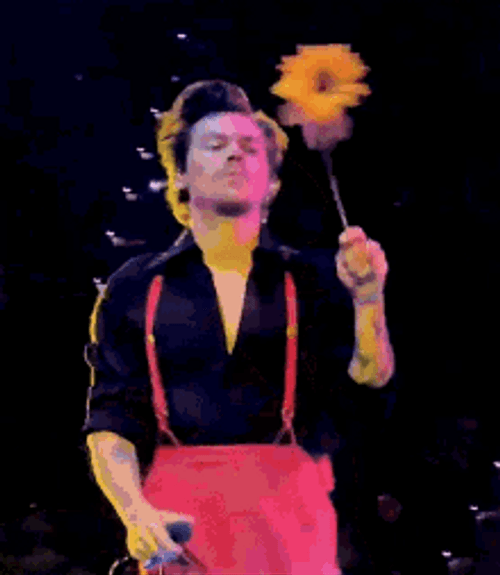 Harry Styles Retro Dancing Flower GIF