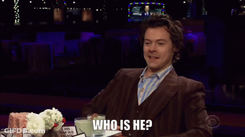 Harry Styles Sign Saying Who Is He GIF