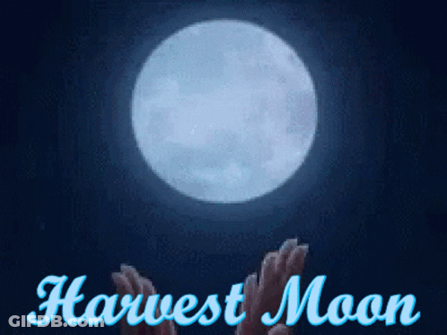Harvest Moon Poster With Full Moon GIF