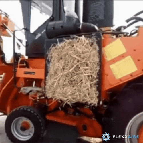 Harvest Sugarcane Farming GIF