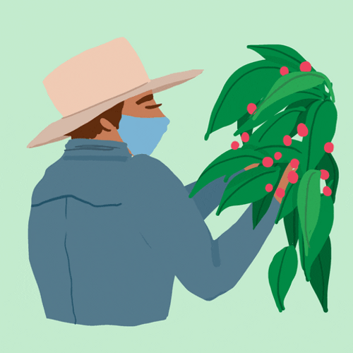 Harvest Time Farming GIF