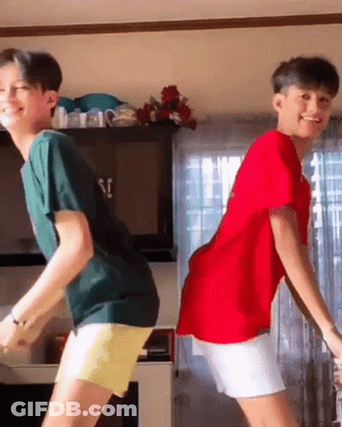 Harvey Fagarita Twins GIF