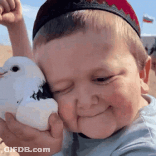 Hasbulla Cute Smile Sweet Snuggle Bird Beach GIF