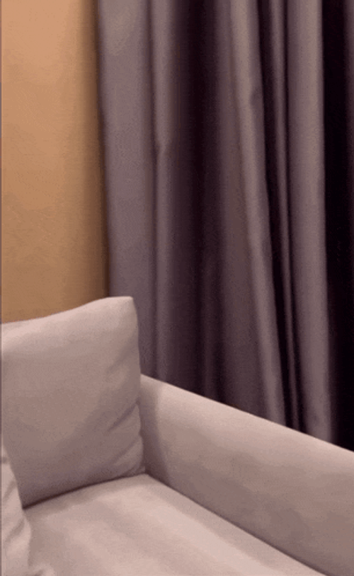 Hasbulla Hasbi GIF