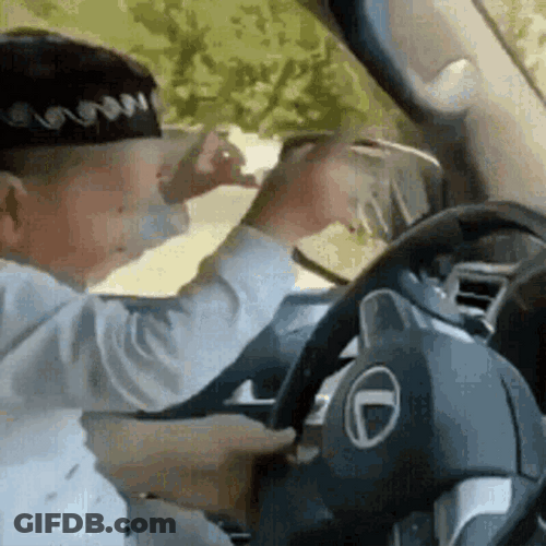 Hasbulla Hasbik Dancing Music Jam Car Drive GIF