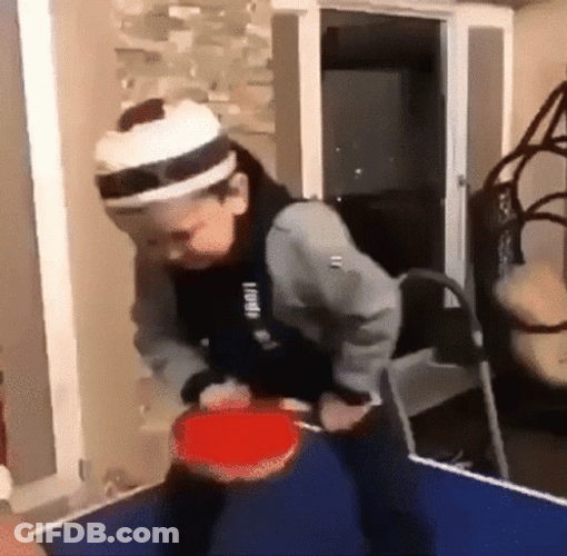 Hasbulla Playing Ping Pong GIF