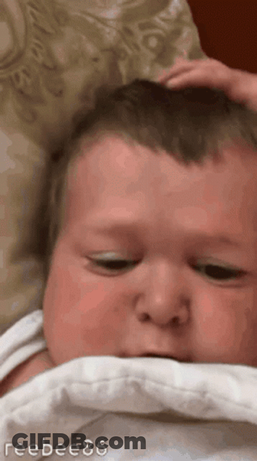 Hasbulla Russian Influencer Sleepy Bed Tired GIF