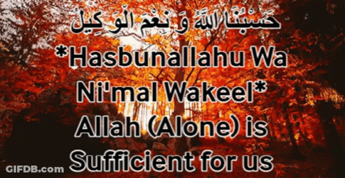 Hasbunallahu Wa Nimal Wakeel Forest GIF