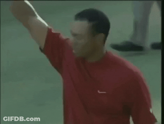 Hat Tip Tiger Woods GIF