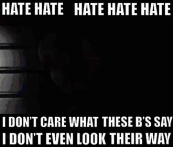 Hate Hate Hate Chelley Took The Night Video GIF