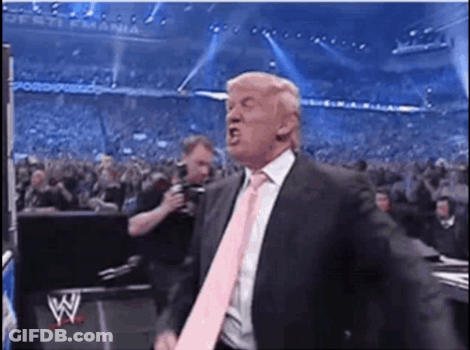 Hats Stay On Trump Wwe GIF