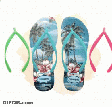Havaianas Flip Flops With Palm Trees GIF