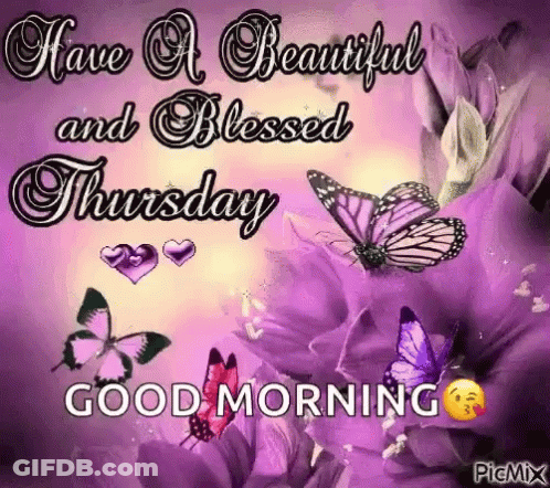Have A Beautiful And Blessed Thursday Good Morning With Butterflies On Purple Flowers . GIF
