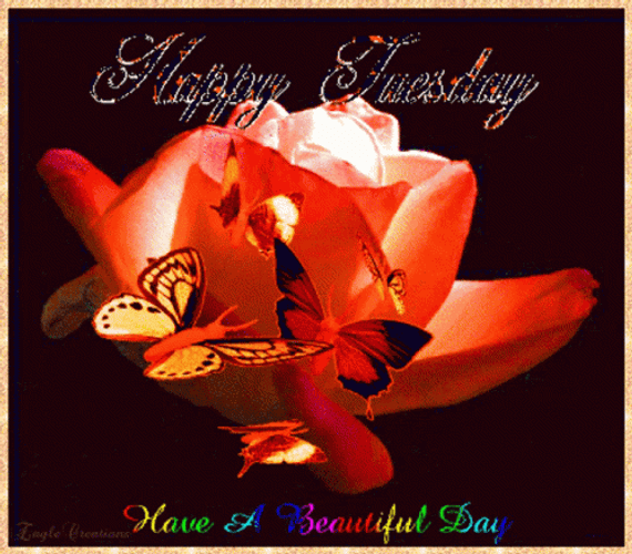 Have A Beautiful And Happy Aniimated Tuesday GIF